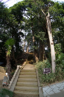 赤塚溜池公園付近