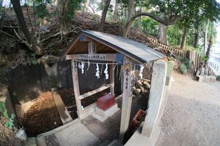 板橋区、赤塚溜池公園付近