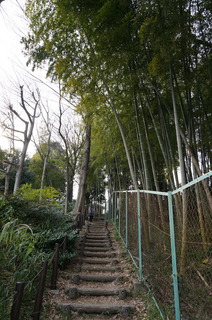 赤塚溜池公園付近