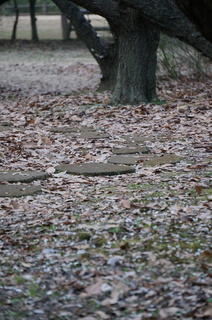 赤塚溜池公園の地面