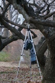 赤塚溜池公園で梅林と梅花をタイムラプス撮影