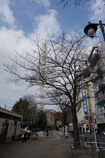 池袋東口周辺の風景