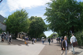 国立科学博物館の大アマゾン展観覧@上野公園付近