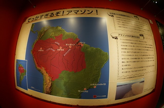 国立科学博物館の大アマゾン展観覧@でっかすぎるぞ!アマゾン!