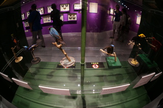 アマゾンの鳥類@アマゾン特有の鳥