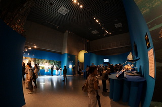 国立科学博物館@アマゾン川の生き物展の風景