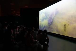 国立科学博物館、大アマゾン展@アマゾンの映像