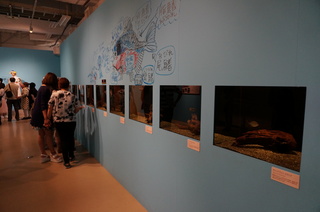 国立科学博物館、大アマゾン展@さかなクンのブース、ピラニアたち