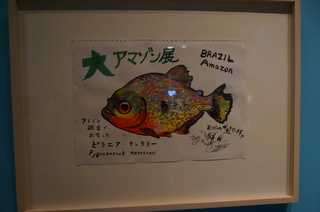 国立科学博物館、大アマゾン展@さかなクンのブース