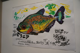 国立科学博物館、大アマゾン展@さかなクンのブース