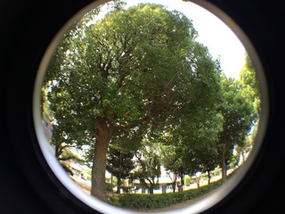 上板橋の平和公園