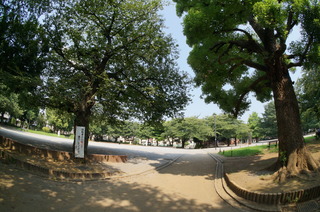 上板橋の平和公園