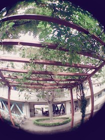 板橋区上板橋、前野町あたりの団地の風景