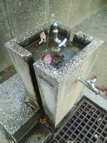 板橋区上板橋、前野町の公園の水道