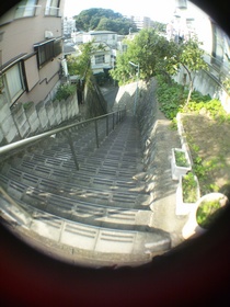 板橋区前野町付近を散歩