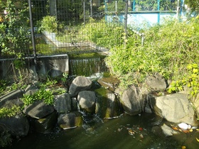 板橋区の見次公園