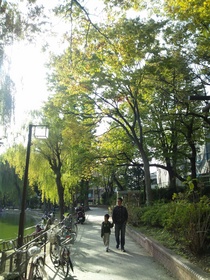 板橋区の見次公園