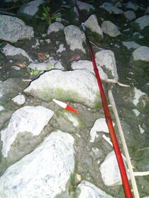 百均ダイソー(DAISO)で買った100円の釣り竿で荒川で魚釣りを試みるも撃沈