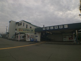 Xperia SO-04Eとワイドレンズで東武東上線の森林公園駅を撮影