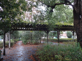 SONYのDSC-QX10で森林公園付近をテスト撮影