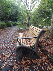 DSC-QX10でベンチをテスト撮影