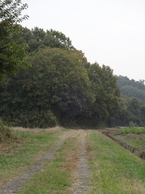 DSC-QX10で森林公園付近をテスト撮影