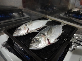 DSC-QX10で焼いているアジをテスト撮影