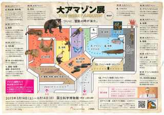 上野の国立科学博物館の大アマゾン展観覧@ブースの紹介のチラシ