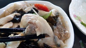 ナマズ科であろう魚の肉