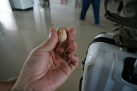 トルファン駅の待合室で比根果を食す