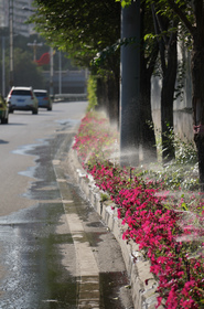 烏魯木斉（ウルムチ）の紅山公園へ向かう