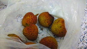 大好きなライチ